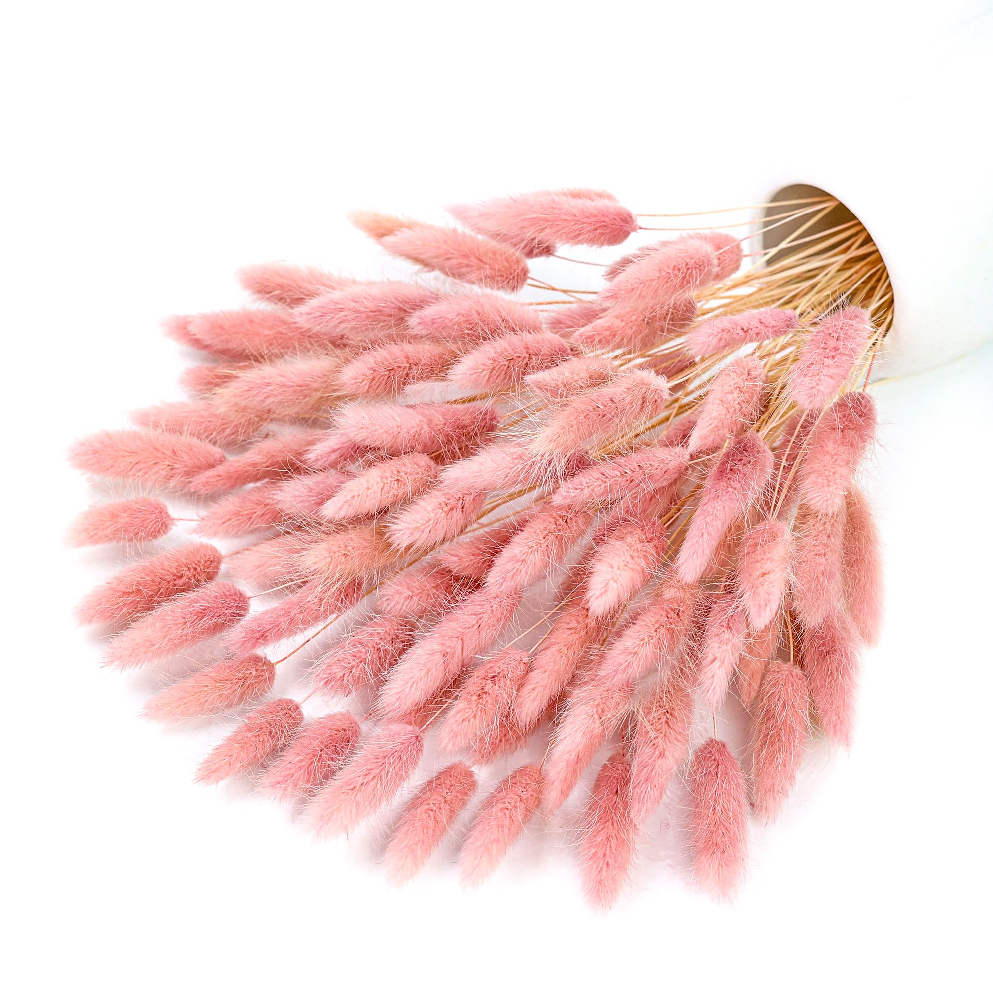 120-steel roze gedroogde pampa - Pampas Grass Decor recensie en prijs