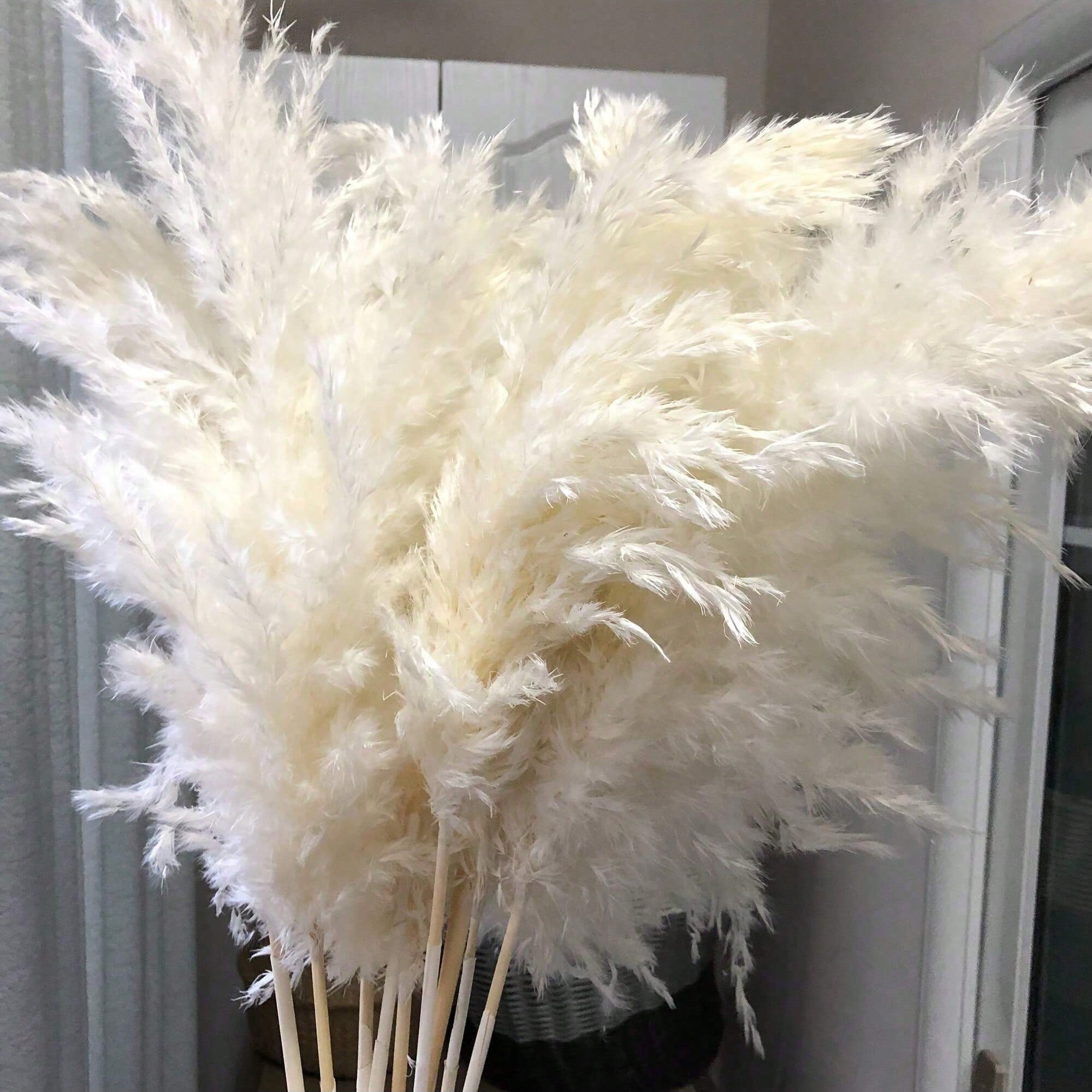 10/20/30 stuks wit kunstmatig  - Pampas Grass Decor recensie en prijs